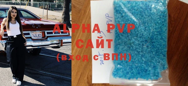 стаф Белокуриха