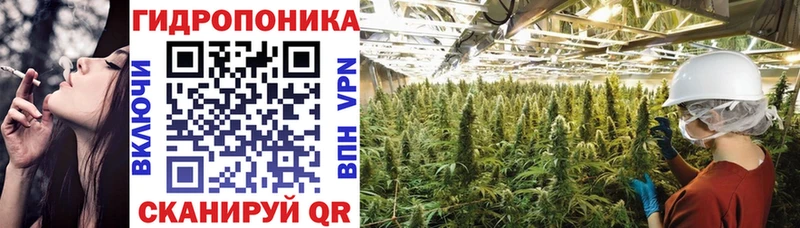 Бошки марихуана White Widow  даркнет сайт  Венёв 